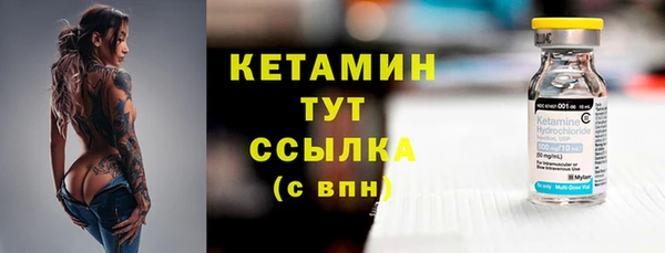 индика Новокубанск