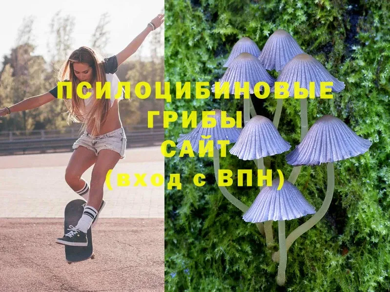 Псилоцибиновые грибы Magic Shrooms  хочу наркоту  Советский 