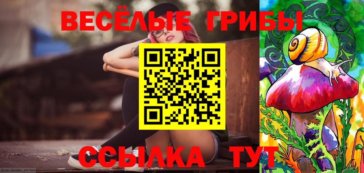 Псилоцибиновые грибы GOLDEN TEACHER Советский