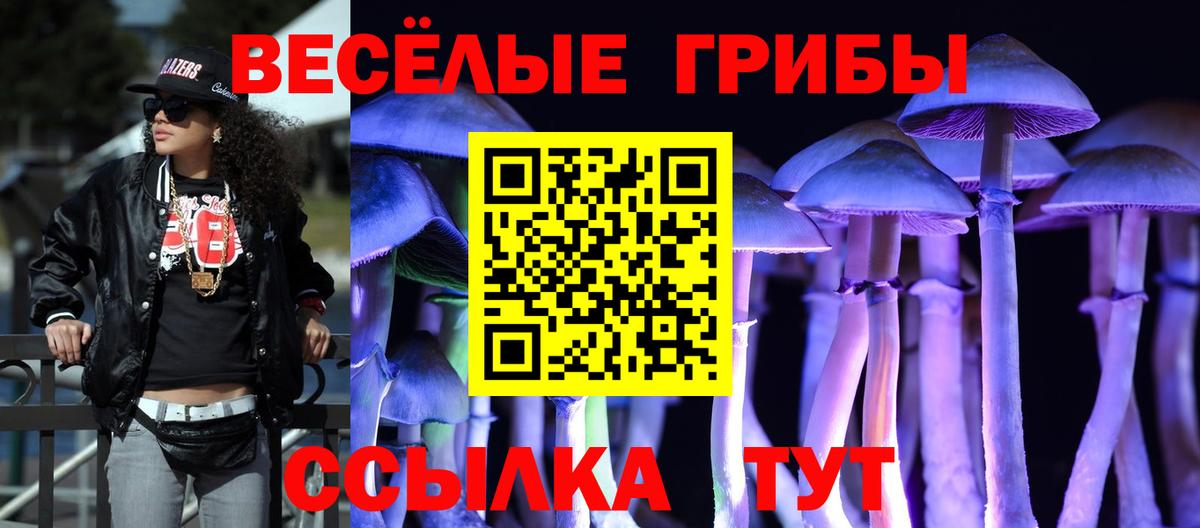 Псилоцибиновые грибы MAGIC MUSHROOMS Советский